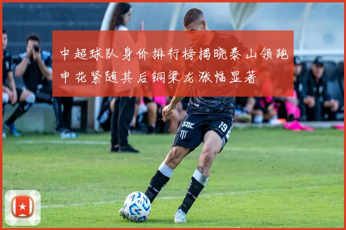 中超球队身价排行榜揭晓泰山领跑申花紧随其后铜梁龙涨幅显著